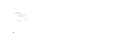 迷野